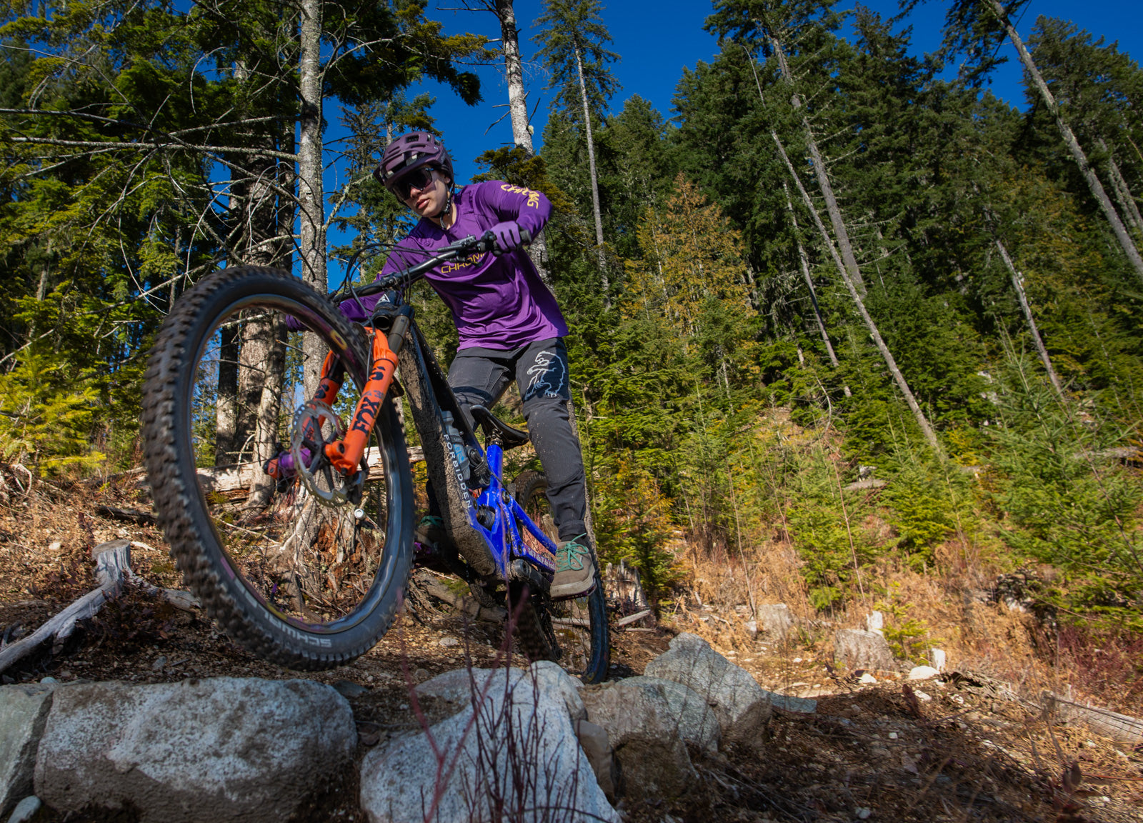 Mountain bike pants womens online